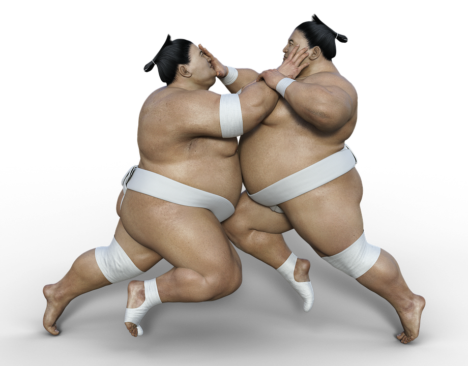 Sumo Poses for George | Character design, Figure drawing reference, Body  reference drawing