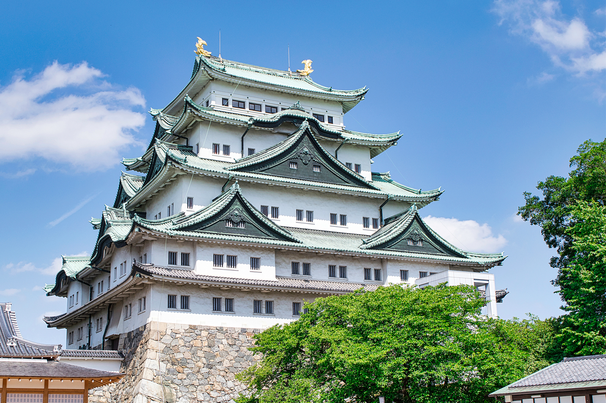 Nagoya castle